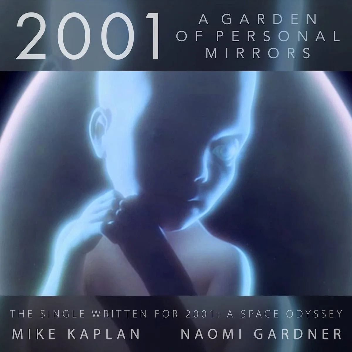 2001: A Garden of Personal Mirrors 7-inch