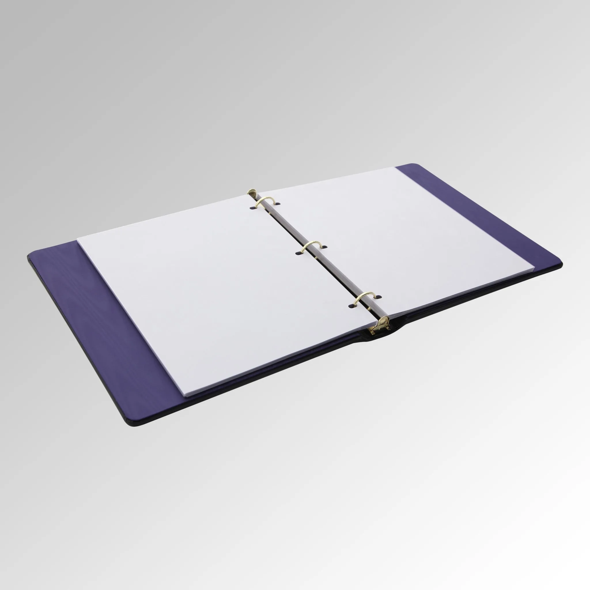 8" x 10" RING BINDER PHOTO ALBUM