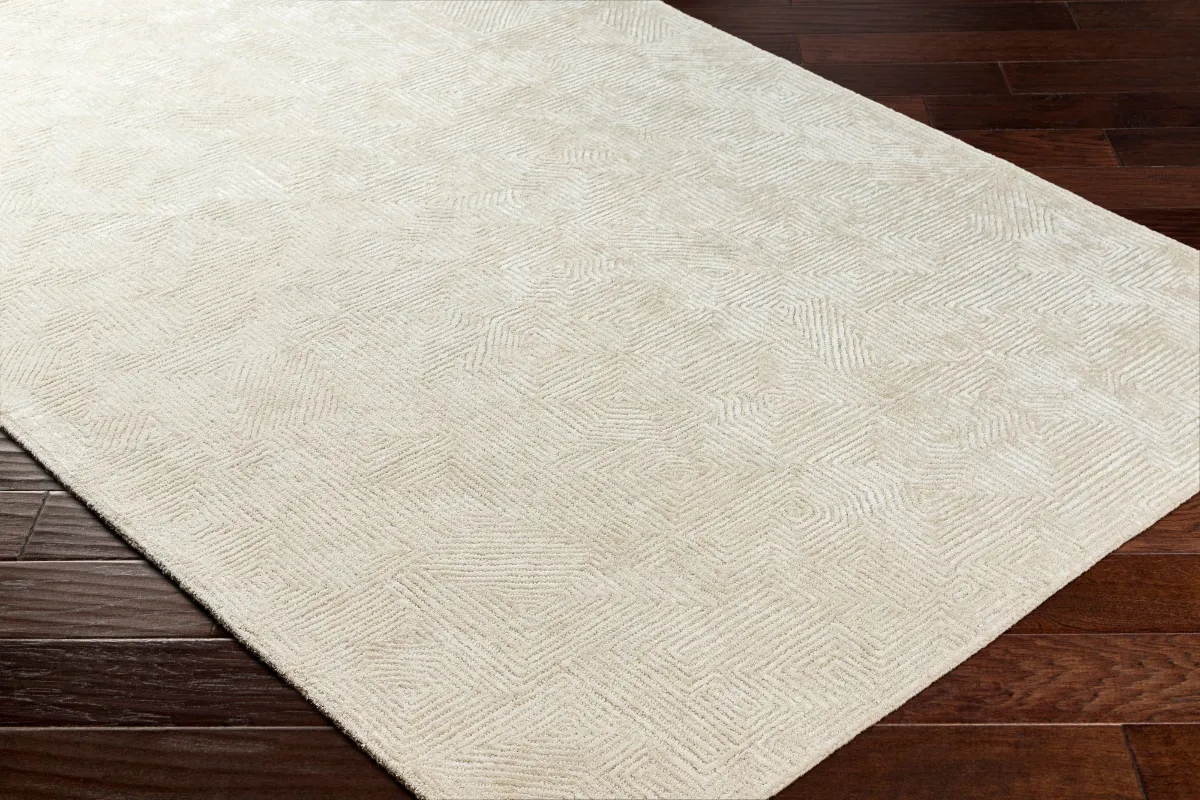 Adeline Indoor Hand Tufted Rug