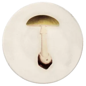 Agaric Bulbeux Dinner Plate