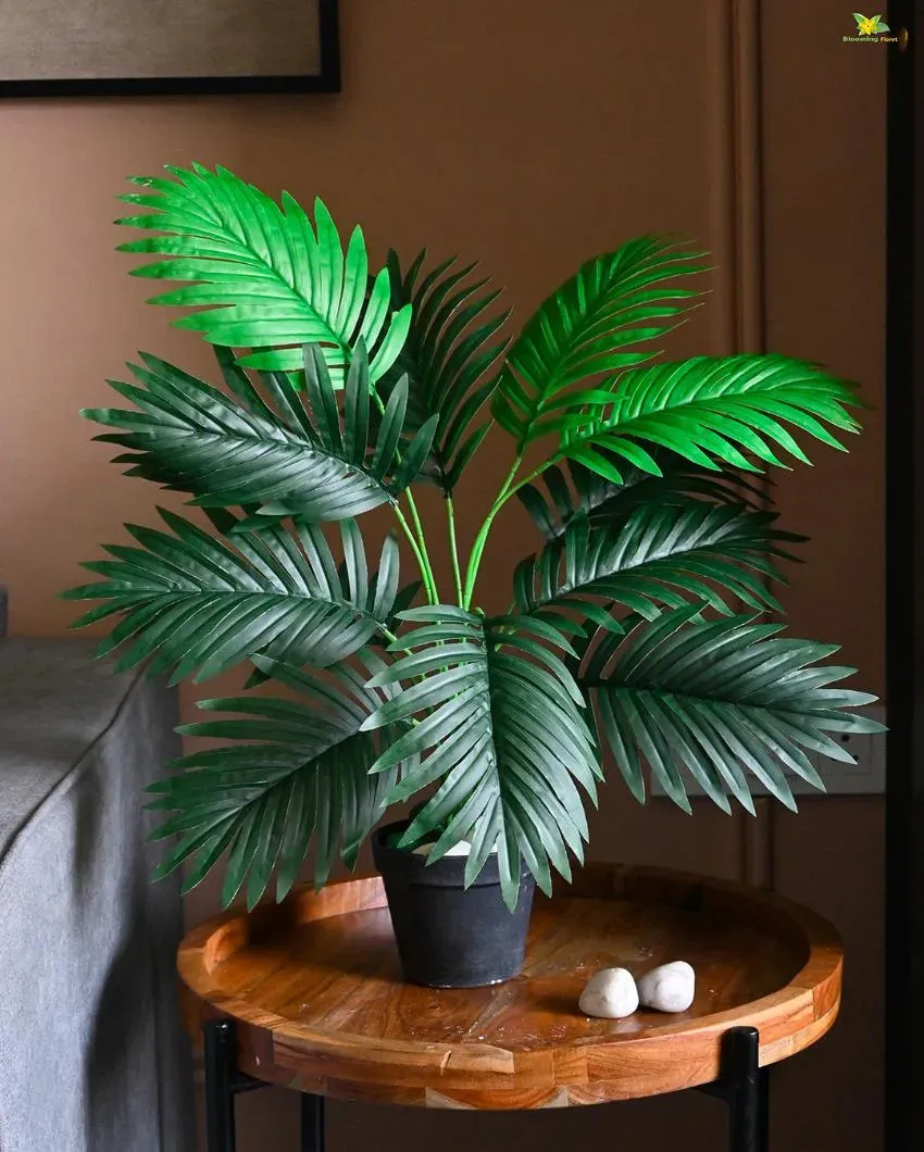 Areca Palm Ornamental Artificial Plant with Pot | 12 Leaves | 2 feet