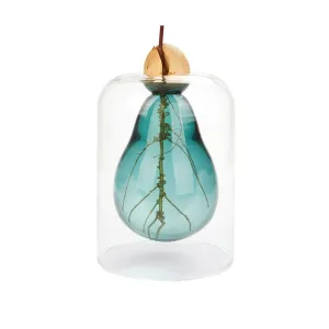 Avocado Seed Glass Vase