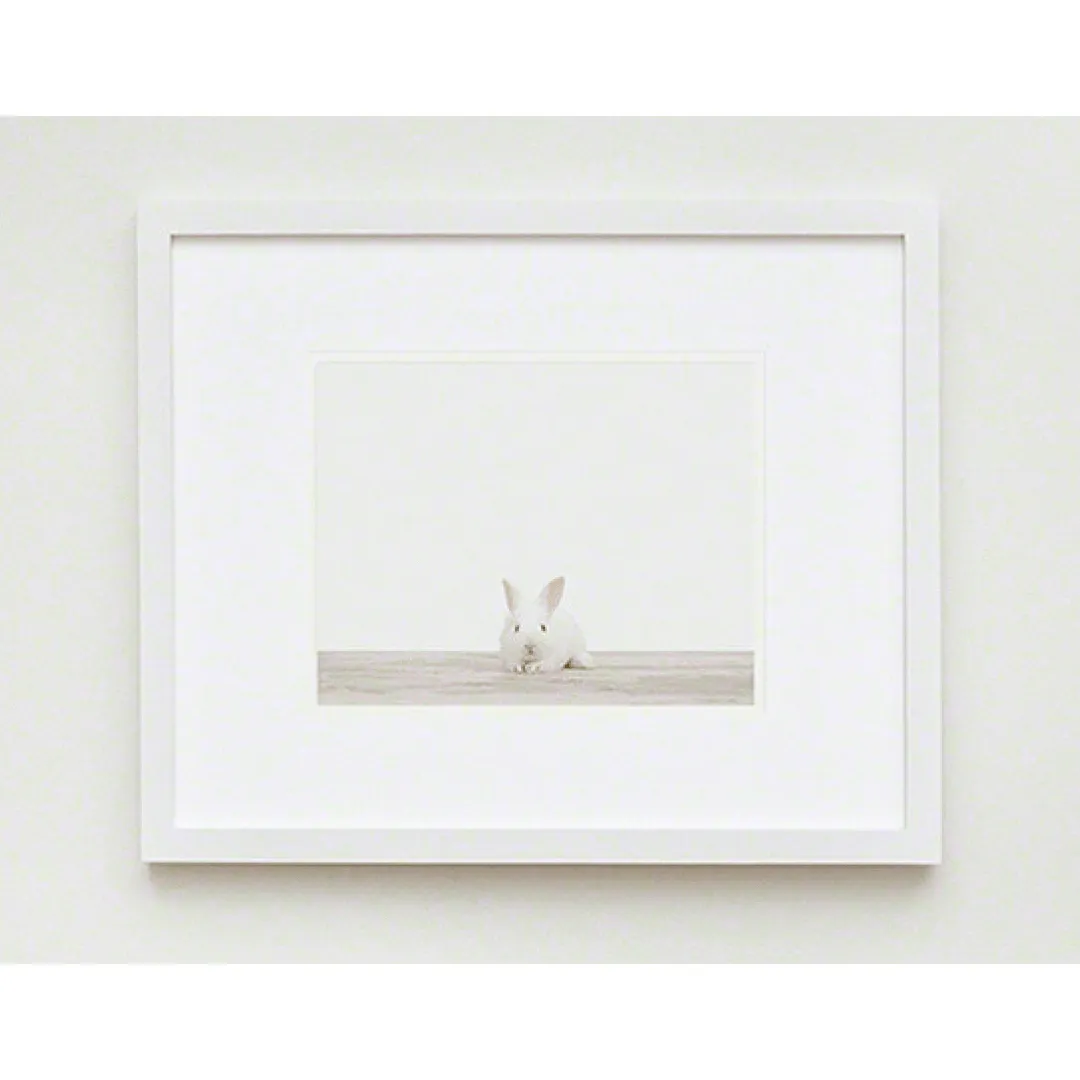 Baby Bunny No. 1 Print