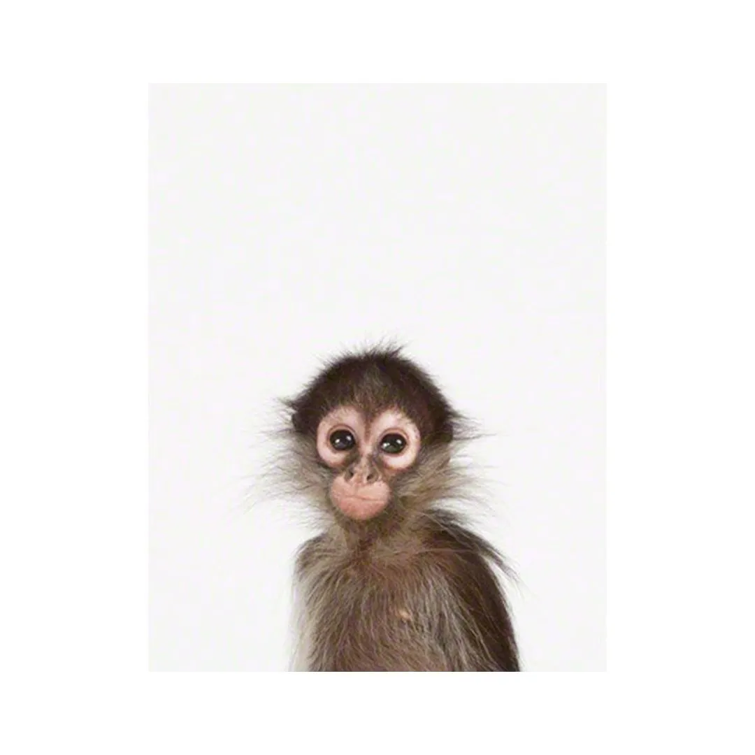 Baby Monkey Little Darling Print