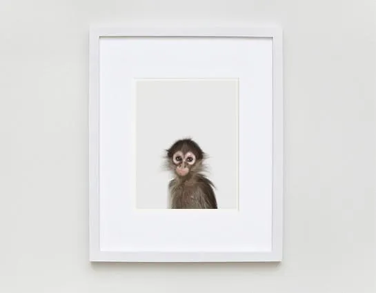 Baby Monkey Little Darling Print