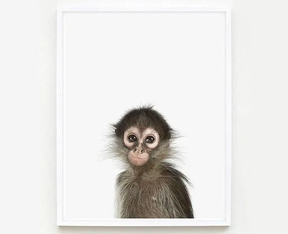 Baby Monkey Little Darling Print