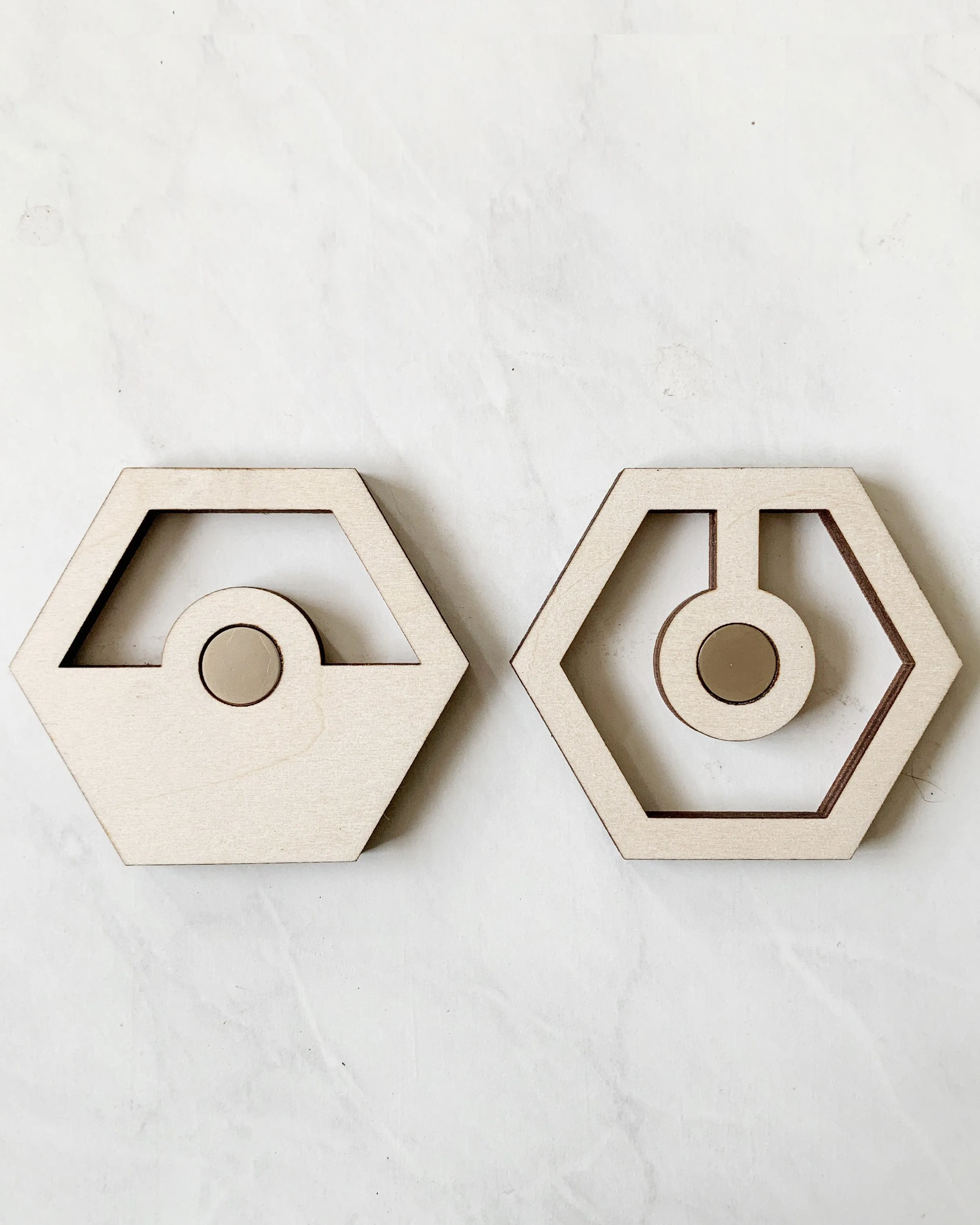 Bundle | Modern Hexagon Hanging Propagation Station