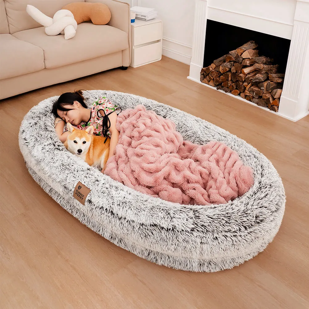 Dog Bed - Donut