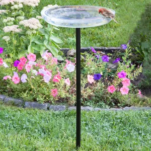 Duncraft Clear Bird Bath with Post