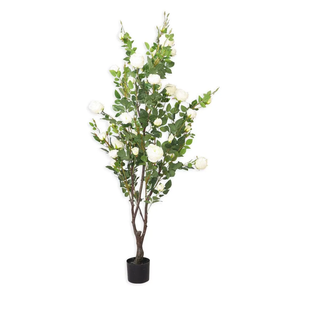 Faux Cabbage White Rose Tree - 175cm