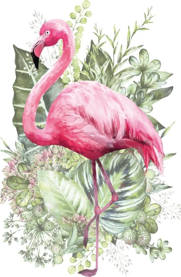 Flamant Rose Hokus Pokus Image Transfer