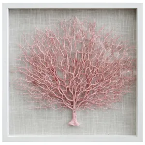 Framed Fan Coral Pink