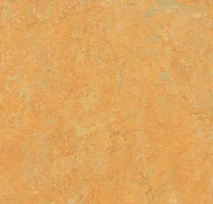 Golden Safron Marmoleum Fresco