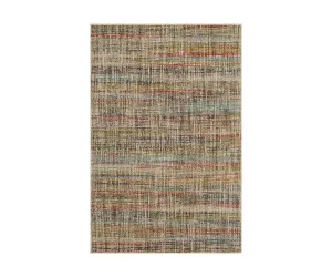 Karastan Elements Fowler Rug - Multi