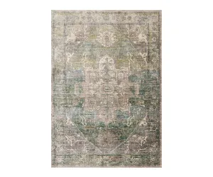 Loloi Javari Rug - Grass Ocean