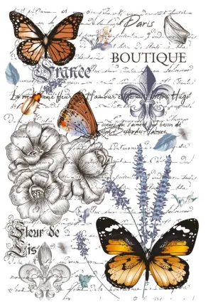 Papillon Hokus Pokus Image Transfer