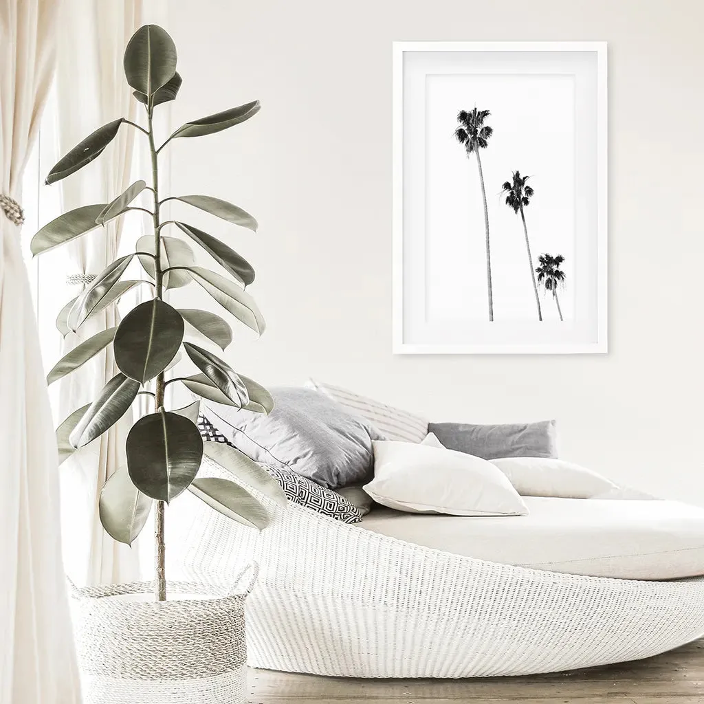 Tropical Black White Palm Trees Wall Decor