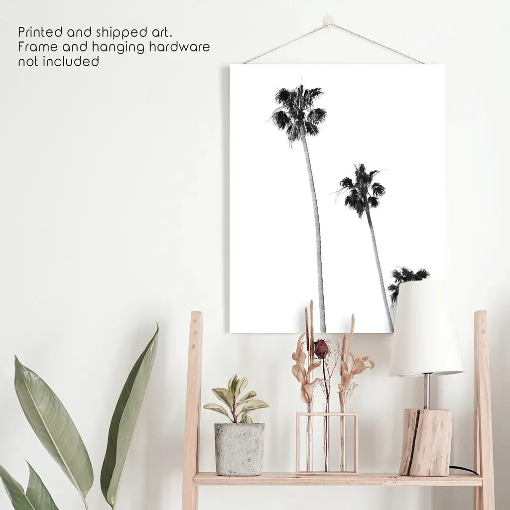 Tropical Black White Palm Trees Wall Decor