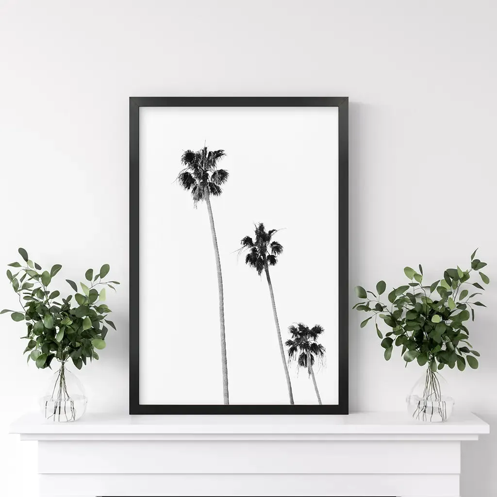 Tropical Black White Palm Trees Wall Decor