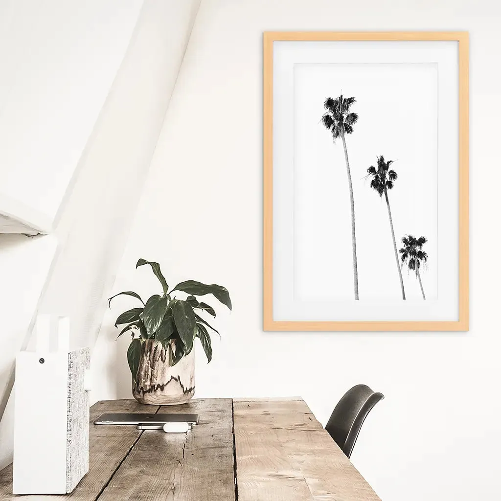 Tropical Black White Palm Trees Wall Decor