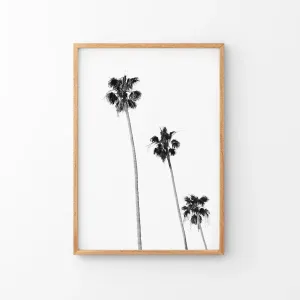 Tropical Black White Palm Trees Wall Decor