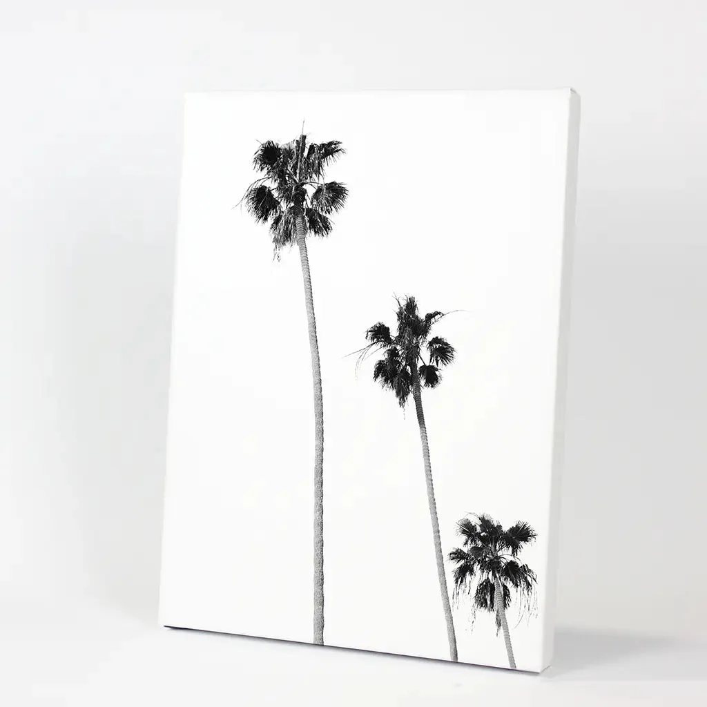 Tropical Black White Palm Trees Wall Decor