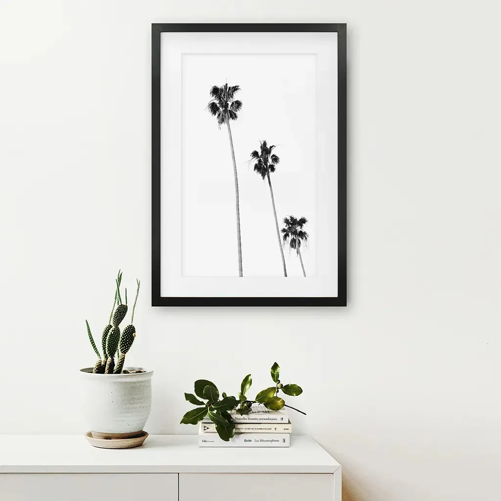 Tropical Black White Palm Trees Wall Decor