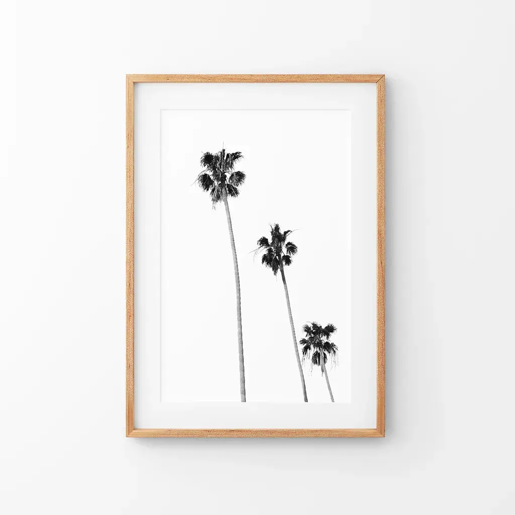 Tropical Black White Palm Trees Wall Decor